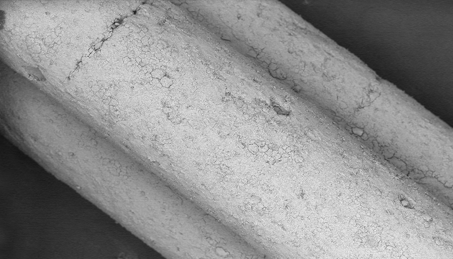 SuperSEM Desktop Real-time Energy Spectrum Scanning Electron Microscope(图1)